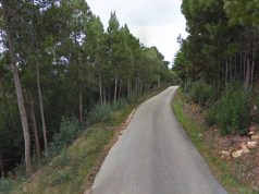 Condições meteorológicas encerra perímetro florestal da serra de Sintra