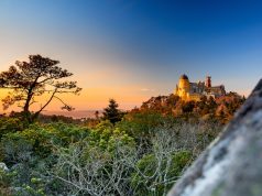 Parques de Sintra distinguida como a melhor empresa do mundo em conservação