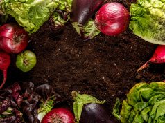 Cursos gratuitos de Agricultura Biológica durante o mês de outubro