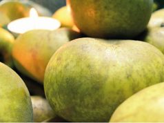 XI Festival de Maçã Reineta em Fontanelas e Gouveia