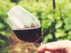 Prova de vinhos de Bucelas, Carcavelos e Colares na Adega Visconde Salreu