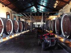 Autarquia apoia requalificação da Adega Regional de Colares