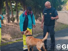 Ascendi e GNR reforçam proteção animal e segurança rodoviária nas autoestradas