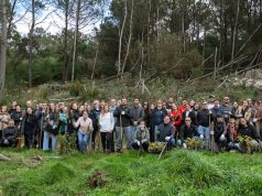 AstraZeneca planta árvores no Parque Natural de Sintra-Cascais