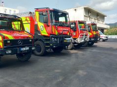 Bombeiros de Colares promovem almoço de São Martinho para angariar de fundos