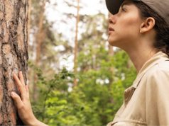 Inscrições abertas para formação de “Forest Flow”