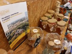 Autarquia reforça investimento no projeto Made in Sintra