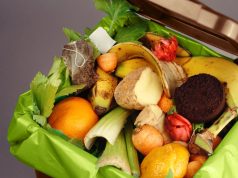 Município de Sintra sensibiliza para o combate ao desperdício alimentar