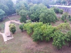 Concurso público para execução da 2.ª fase do Jardim Romântico do Vale da Raposa