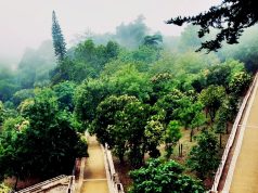 Construção da Casa de Fresco no Jardim Romântico do Vale da Raposa