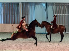 Parques de Sintra honrada com classificação da Arte Equestre Portuguesa pela UNESCO
