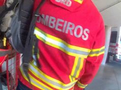 Mulher ferida devido a queda de árvore