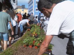 Emprego protegido para cidadãos com necessidades especiais