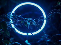 “INCÓMODO”: Evento cultural que desafia o convencional no Mercado de Massamá