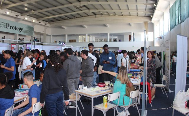 oferta formativa sintra