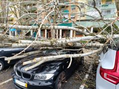 Depois da tempestade fazem-se contas aos prejuízos