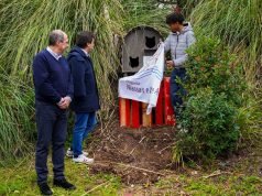 OP Jovem cria abrigos para gatos em Massamá e Monte Abraão