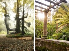 Programação de primaveira nos Parques de Sintra