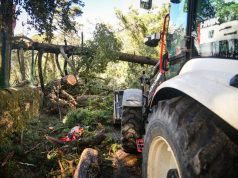 Queda de árvores isolam bombeiros e casal acidentado na serra de Sintra