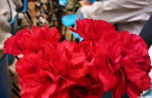 Município de Sintra celebra o 25 de Abril em Massamá