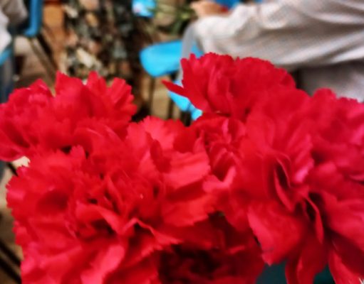 Município de Sintra celebra o 25 de Abril em Massamá