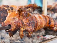 Porco no espeto para angariar fundos