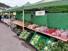 Covas de Ferro celebra Dia da Criança com Feira Saloia e Passeio a Cavalo