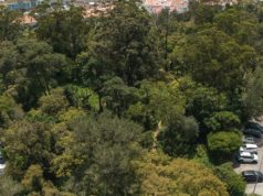 Novo Parque Urbano em Belas