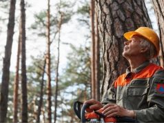 Prazo de limpeza de terrenos alargado até 15 de junho