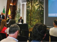 Sintra lançou projeto inovador para modernizar comércio local