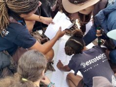 Rio de Mouro recebe Fórum “Mentes em Movimento” – espaço de partilha e inspiração