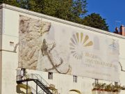 Museu de História Natural recebe novas obras doadas ao Município