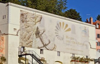 Museu de História Natural recebe novas obras doadas ao Município