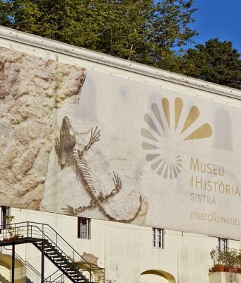 Museu de História Natural recebe novas obras doadas ao Município