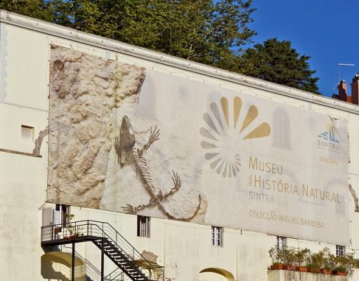 Museu de História Natural recebe novas obras doadas ao Município