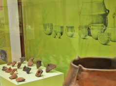 Dia Internacional da Arqueologia promove visitas guiadas ao património