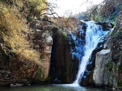 Dia das Águias com caminhada temática à Cascata de Anços
