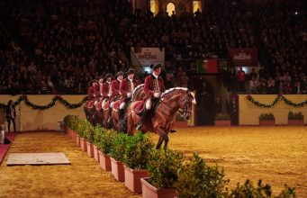 Arte equestre e música clássica unem-se na Gala de Ano Novo da EPAE