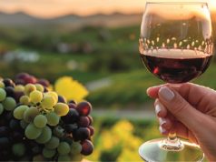 Ação de formação sobre enoturismo