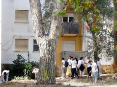 Ação de limpeza do espaço público no Bairro da Tabaqueira