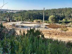 Decorrem obras para criação de Horta Solidária em Mira Sintra