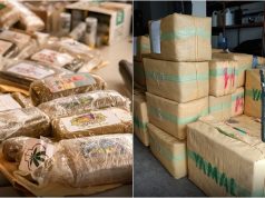 PSP apreende 5,8 toneladas de haxixe em megaoperação na Grande Lisboa