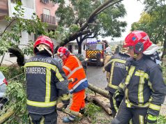 Vento e chuva intensa provoca queda de árvore em São Marcos