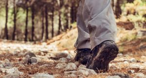 Dia da Árvore e da Floresta com percursos pedestres em Belas e Montelavar