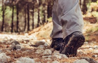 Passeios gratuitos juntam caminhada e ciclismo em Janas