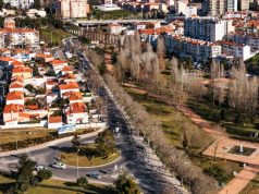 IP realiza trabalhos de arborização na EN 117 em Queluz