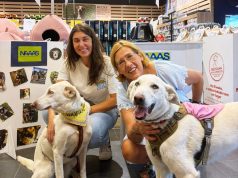 NAAAS organiza jantar de Natal a favor dos animais abandonados de Sintra