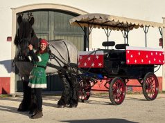 “Feira do Natal” em honra de Nossa Senhora da Piedade
