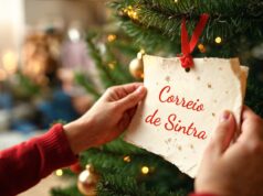 Feliz Natal e Ano Novo próspero