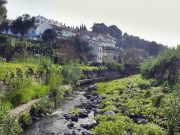 Projeto aposta na sensibilização para controlo de espécie invasora aquática